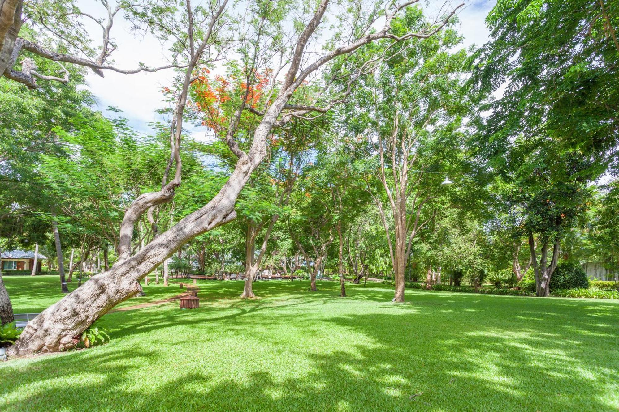 Raya Resort Beach Front - The Most Green Resort In Cha-Am Eksteriør bilde